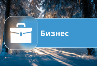 Бизнес