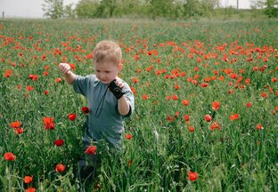 Весеннее путешествие по России 2024