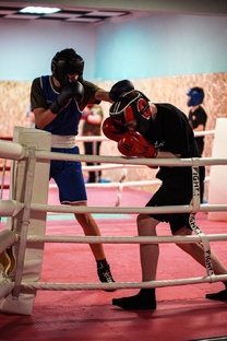 Единоборства