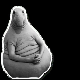 Уроки и разборы песен