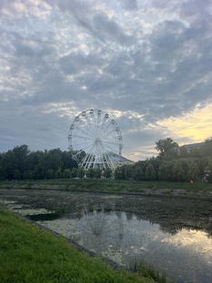Места