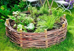 Дачные премудрости