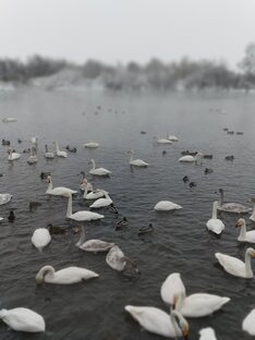 Интервью с писателями