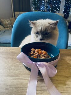 Оценка корма 🥩 🐈 