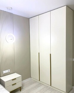 Шкафы-купе на заказ в Москве