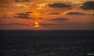 Тип характера