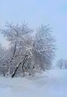 Лучшая работа января 2026