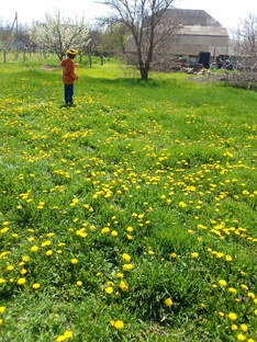 мое хозяйство.