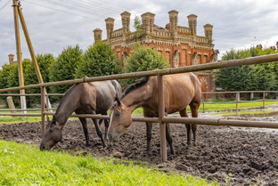 Рязанская область