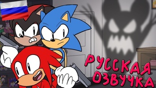 ШОУ СОНИКА И НАКЛЗА