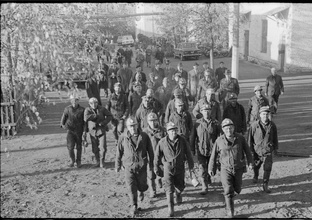 Видео обзоры фотоархивов