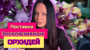 Обзор поставок, магазинов растений