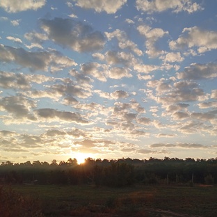 Немного Жизни