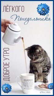 Которелакс