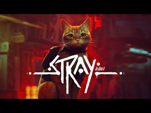 Прохождение | Stray