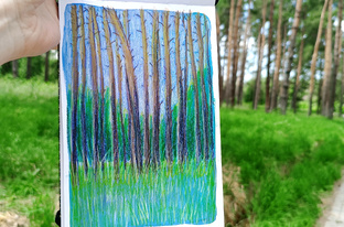 Пленэры 🌲🌳🍁🍄