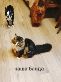 Наша банда