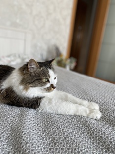 Моя живность 👀😃