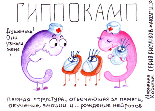 Серия рисунков "Мозг и..."