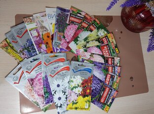 ОБЗОРЫ СЕМЯН ЦВЕТОВ