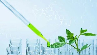 Разоблачения