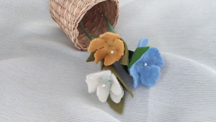 Анонсы. Короткие видео с анонсом подробных мастер классов