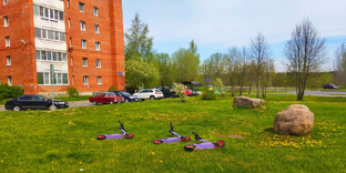 Фиолетовые хроники