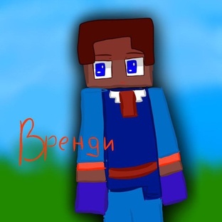 Деревня номер 13 в майнкрафт. 