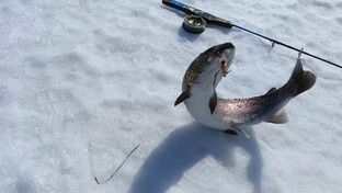  РЫБАЛКА ОХОТА таежные места