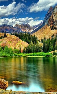 Обзор и интересные факты