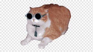 Интересные факты. Русский язык