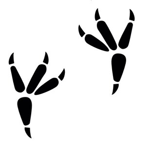 Отступление на тему и без!