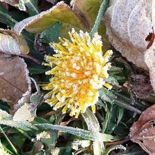 Я фотограф✨