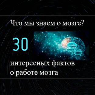Интересные факты о нашем мозге