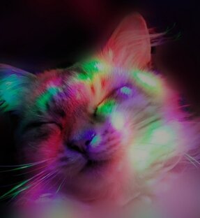 Познавательные статьи