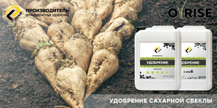 Полезные статьи