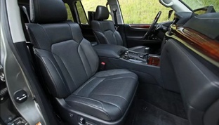 вылазки и путешествия 