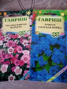 Сад-огород