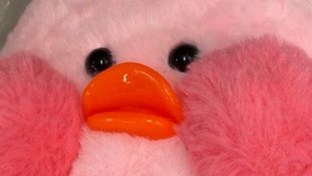 КАК ЖИТЬ ВЗРОСЛУЮ ЖИЗНЬ