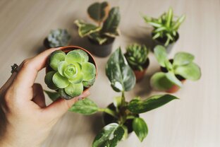 Распаковка и обзор