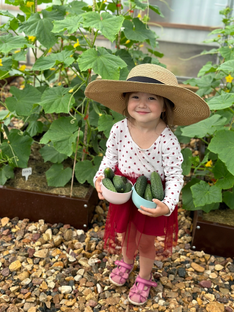 Садово-огородные дела