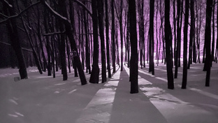 Походы, путешествия, ориентирование в лесу: Ваш компас в мир приключений.