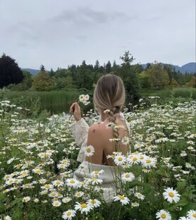 Подборки 🌿