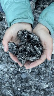 Правильные сувениры с Камчатки 