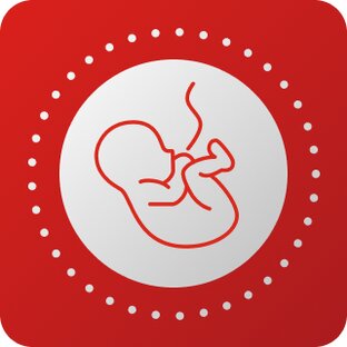 Здоровая беременность