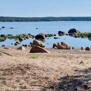 ЛЕНИНГРАДСКАЯ ОБЛАСТЬ