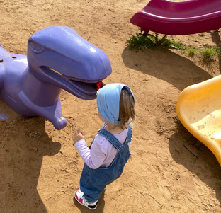 Хроники детской площадки