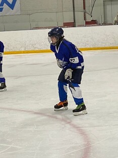 🏒