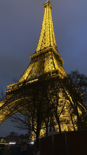 Курс 🇫🇷 с нуля