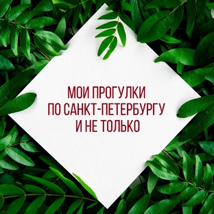 Мои прогулки по Санкт-Петербургу и не только